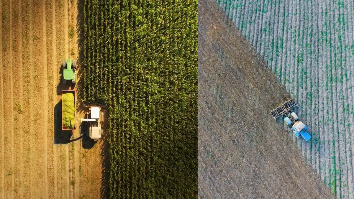 Küresel gıda fiyatları 4 yılın zirvesinde